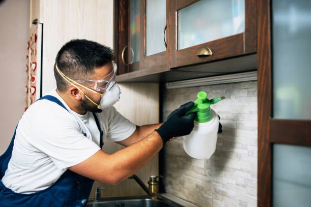 Best Wasp Removal Services  in Center Point, AL