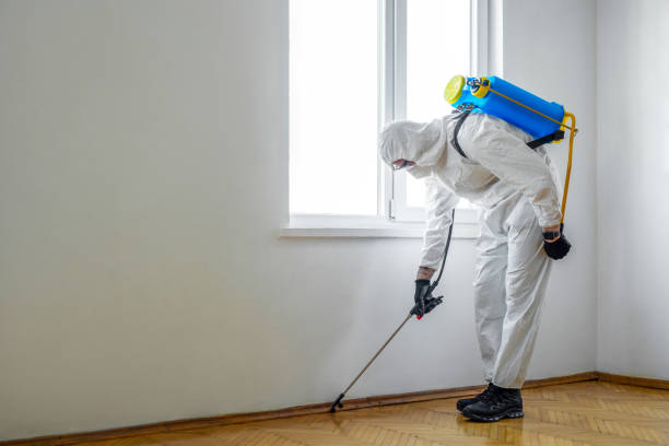 Best Affordable Pest Control Services  in Center Point, AL
