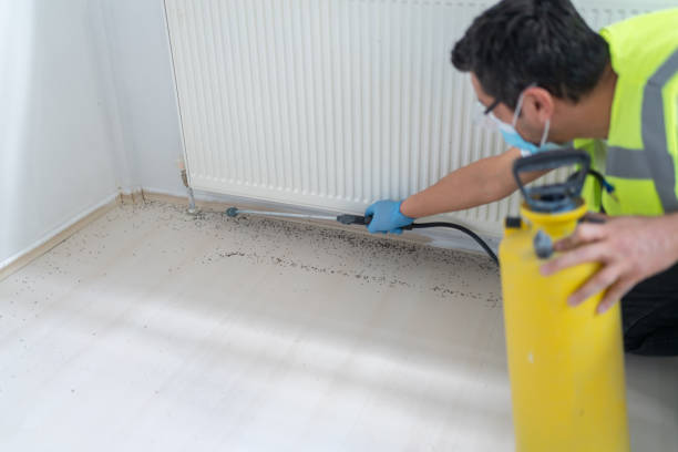 Best Commercial Pest Control Services  in Center Point, AL