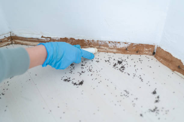 Best Best Pest Control Companies  in Center Point, AL
